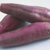 百人寨地瓜 无农药绿色新鲜紫薯2500g