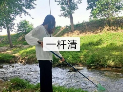 潜水防鲨杆,单杆一体机单杆双杆锂电杆图3