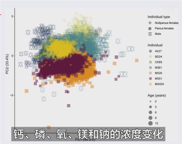 科学新发现：新研究称生育永久改变女性骨骼